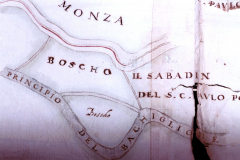 Bosco