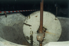 Molassa