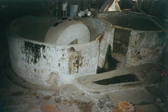 Molasse