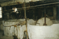 Molasse